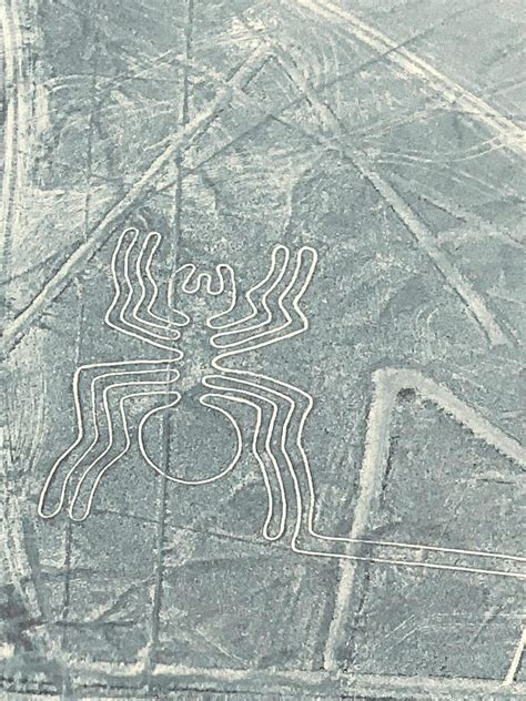Nazca Lines Nazca Lines Archives Travel And Photo Todaytravel And Smienk Agam1947
