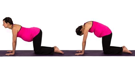 The benefits of this synchronized breath movement will also help you relax and. Yoga for Pregnancy | Cat Pose & Cat Cow