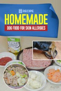 Often the best means of providing for a dog with special dietary needs is cooking homemade dog food. Homemade Dog Food Recipe for Skin Allergies