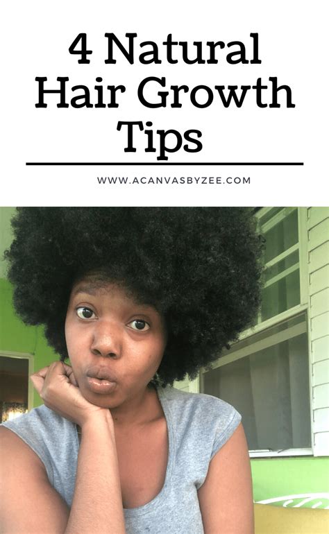 6 Months Natural Hair Update And Regimen Zees Canvas In 2020