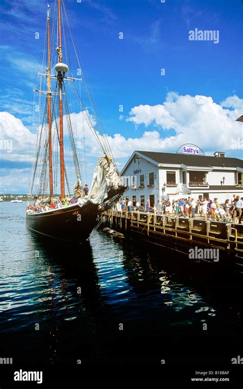 Bluenose Schooner Halifax Nova Scotia Canada Historic Ship