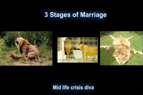 Three Stages Of Marriage Marriage Funny Humor