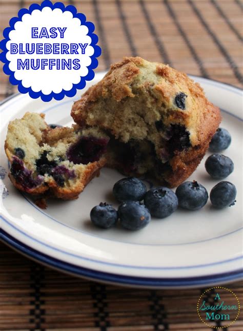 Easy Blueberry Muffin Recipe With Simple Streusel Topping