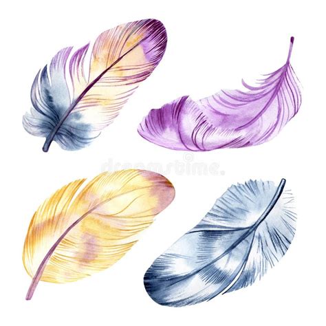 Feathers Watercolor Set Isolated On White Background Stock