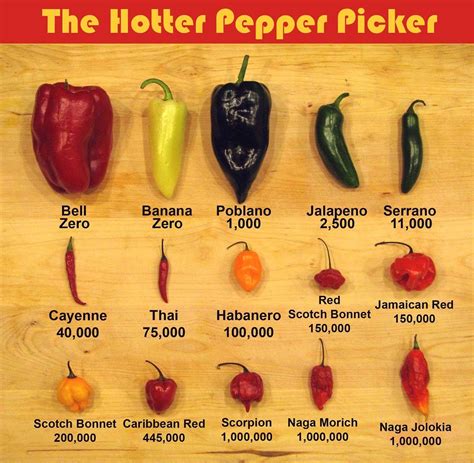 The Hotter Pepper Picker Stuffed Peppers Stuffed Hot Peppers Hot
