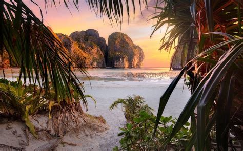 1,320 likes · 6 talking about this. nature, Landscape, Beach, Sunset, Palm Trees, Shrubs, Rock ...