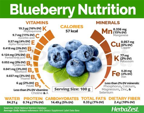 Blueberry Nutrition Blueberries Nutrition Nutrition Food Health