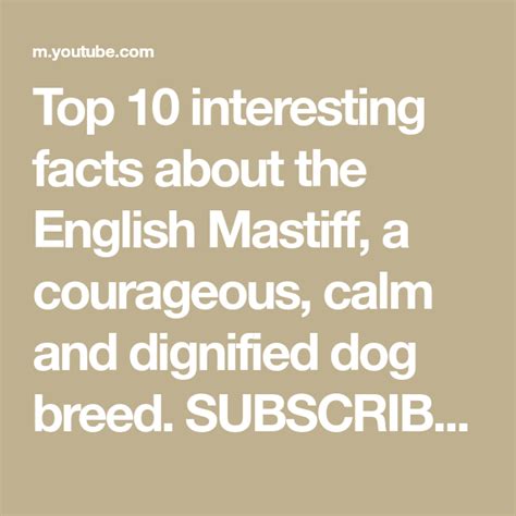 Top 10 Interesting Facts About The English Mastiff A Courageous Calm