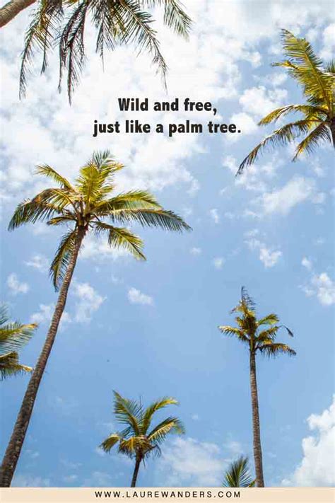 89 Best Quotes About Palm Trees For Your Instagram Captions Laure Wanders