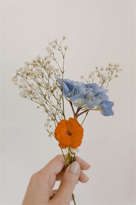 𝐚𝐮𝐛𝐫𝐞𝐲𝐭𝐚𝐭𝐞 ☼ Flower Aesthetic Flowers Colorful Flowers