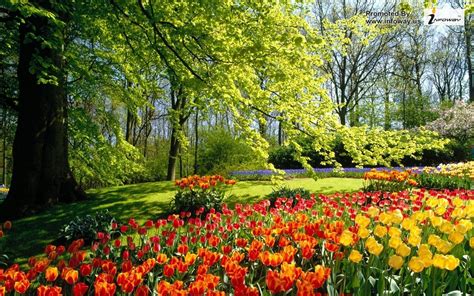 Beautiful Spring Nature Desktop Wallpaper Wallpapersafari