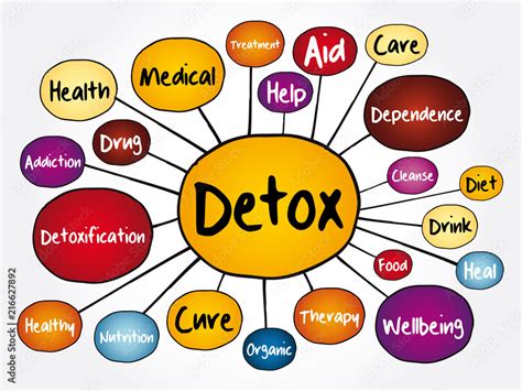 Detox Mind Map Flowchart Health Concept For Presentations And Reports