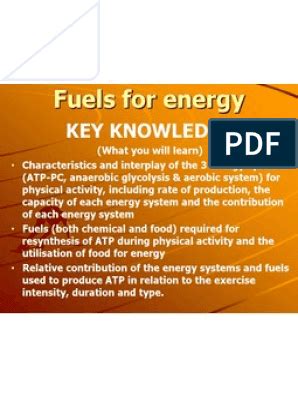 The role of carbohydrate, fat and protein as fuels for aerobic and anaerobic energy production. The Role Of Carbohydrate, Fat And Protein As Fuels For ...