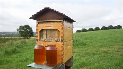 The Flow Hive Just Completely Revolutionized Beekeeping Solidsmack
