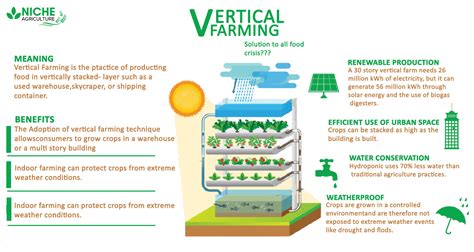 Vertical Farming Pros And Cons Definition Niche Agriculture