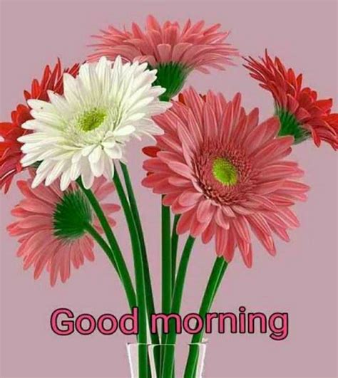 Good Morning Wishes With Flowers Artofit