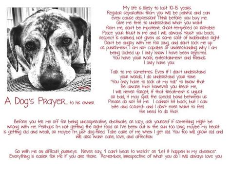 Christian Prayer For Loss Of Pet Jhoni Pet