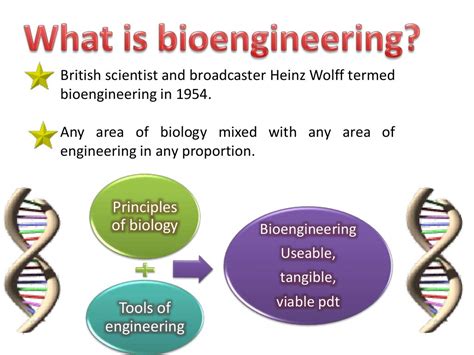 Bioengineering Custom Microbes Genetic Engineeringbioremediationbi