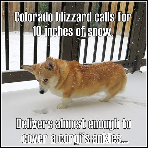 Colorados April ‘blizzard Best Memes