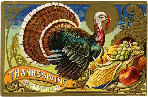 free vintage image ~ thanksgiving greetings turkey postcard old design shop blog