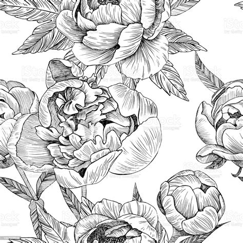 Seamless Pattern Of Peony Flowers And Leaves Graphics Engraving Hand