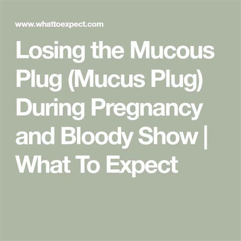 Pink Mucus 7 Weeks Pregnant Pregnancy Vlog Week 17 Lost Mucus Plug