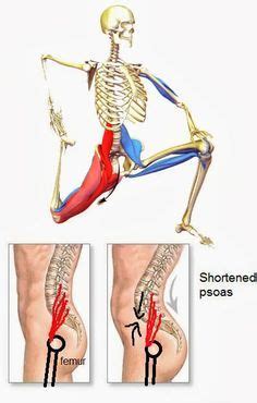 The anatomy of the fascia lata and iliotibial tract. Pin on stretching