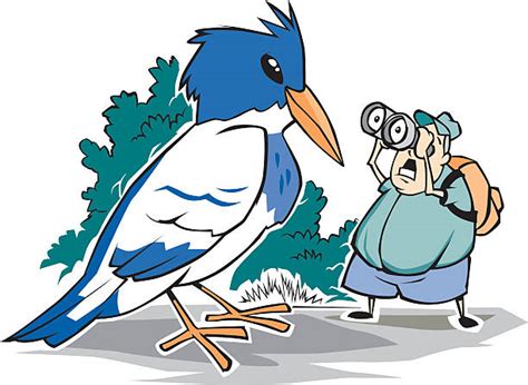 140 Bird Watcher Man Stock Illustrations Royalty Free Vector Graphics
