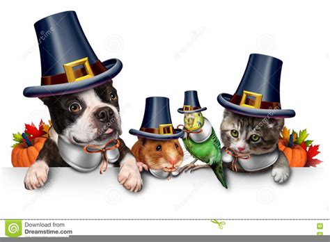 Cute Pet Thanksgiving Clipart Free Images At Vector Clip