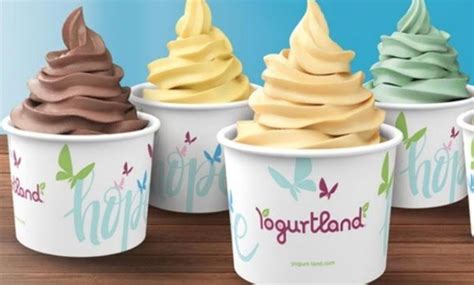 Discover it® cash back and chase freedom flex℠ best cashback card for dining/entertainment: Yogurtland - 50% Cash Back - Up to $10 | Groupon