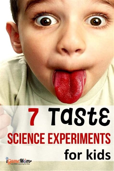 Science Experiments For Kids To Learn About Taste