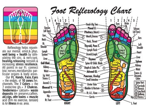 Reflexology Diy Guide To Boost Up Health And Keep Doctors Away How To Instructions