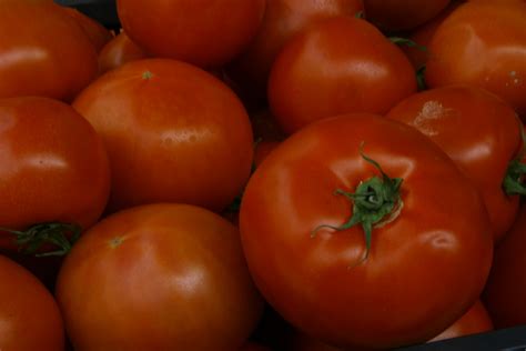 Red Tomatoes Free Stock Photo Public Domain Pictures