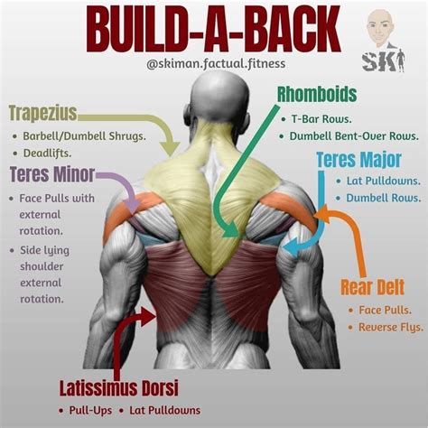 Lower Trap Exercises Strengthen Your Lower Trapezius