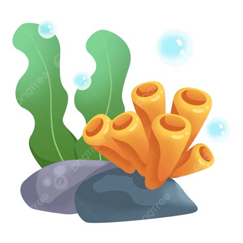 Seaweed Coral Clipart Transparent Background Hand Dra
