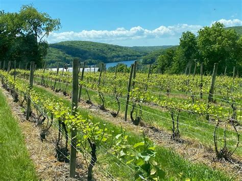 Summer Escape To The Vineyards Of Litchfield County Explore Washington Ct