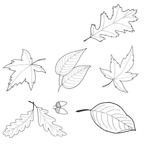 Wenn es ihnen nichts ausmacht, für eine vorlage an ihr bewerbungsformular über zahlen, können sie tatsächlich dafür bezahlen, dass sie eine für sie. fensterbilder-herbst-vorlage-ausdrucken-ausmalen-schablone ...