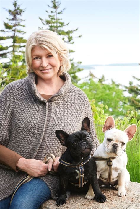 Martha Shares Her Simple Genius Trick For Pet Proofing Your Home