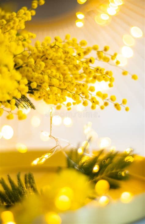 Bouquet Of Yellow Mimosa Flowers With Bright Gold Interior Decor With