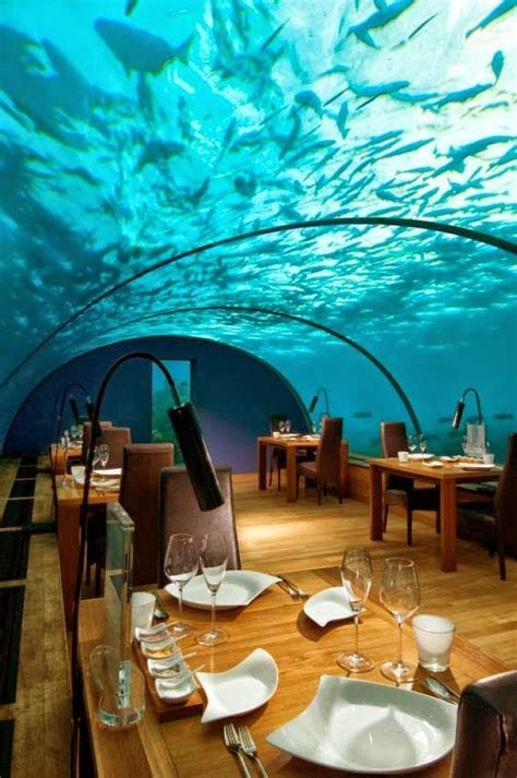 Travel Timeline Underwater Restaurant Best Honeymoon Destinations