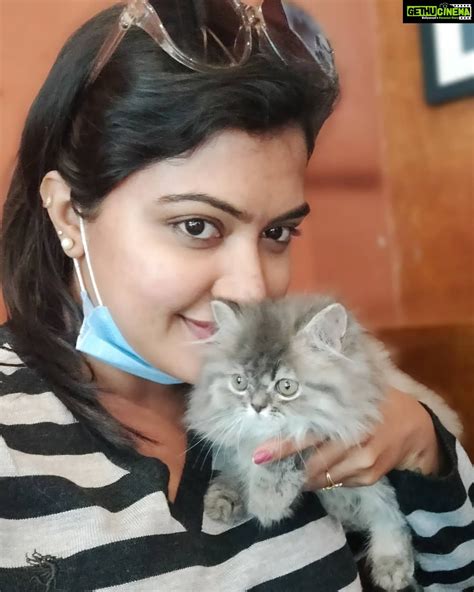Rachitha Mahalakshmi Instagram I Never Knew I Could Also Be A Cat