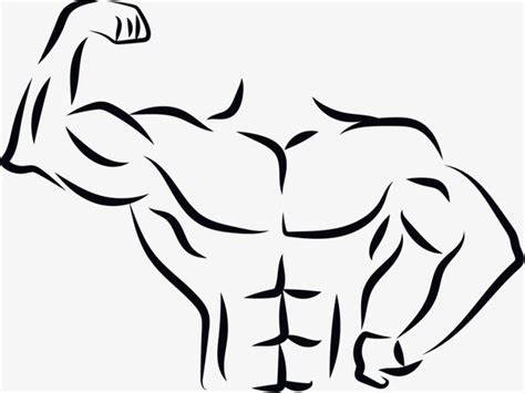 Um Corpo Em Forma PNG Os Músculos Abdominais Fitness Trainer Tem O
