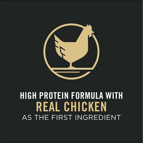 Purina Pro Plan Adult Chicken And Egg Formula Grain Free Dry Cat Food 6