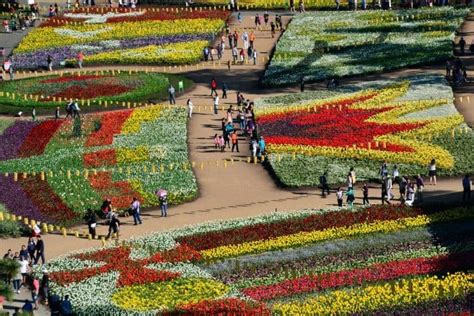Floriade Canberras Own Flower Festival Mcintyre Property