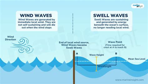 Swell Waves