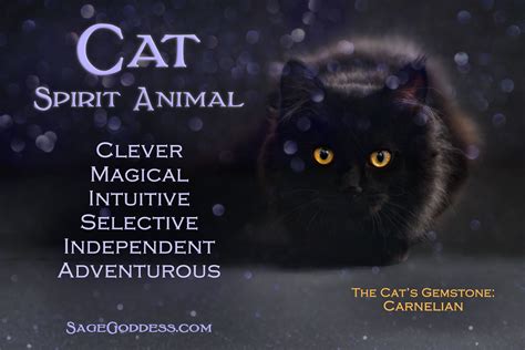 Cat Spirit Animal Animal Spirit Guides Animal Meanings Animal