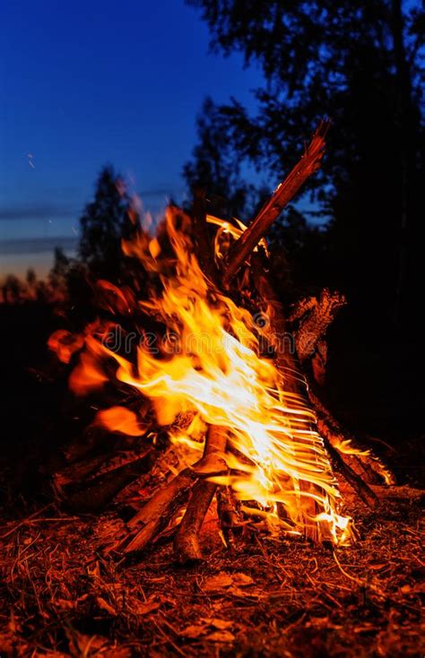Campfire Stock Photo Image Of Detail Night Outdoor 42878014