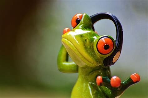 Free Image On Pixabay Frogs Headphones Music Dance Frog Art