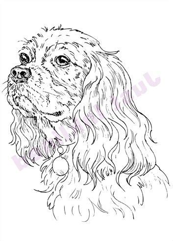 Cavalier King Charles Spaniel Coloring Page – Learning How to Read