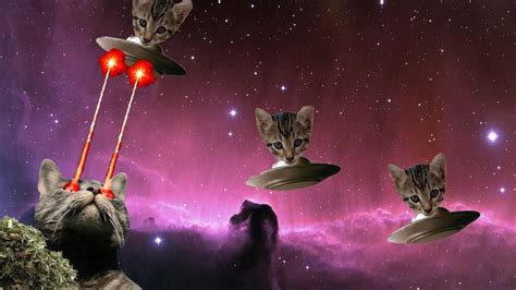 Download Cat With Space Lasers Me Center In Cats By Cmccoy14